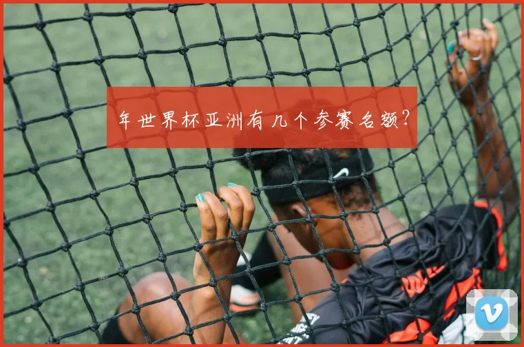 年世界杯亚洲有几个参赛名额？